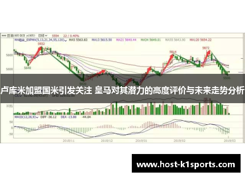 卢库米加盟国米引发关注 皇马对其潜力的高度评价与未来走势分析