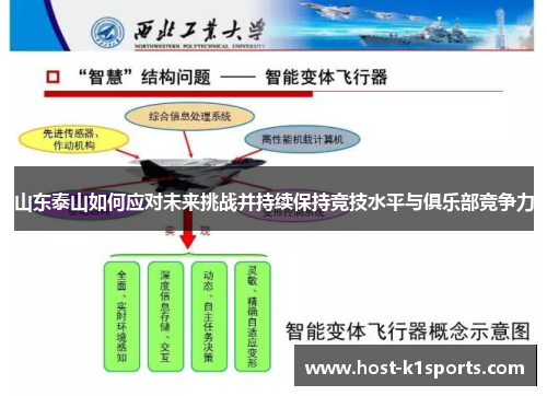 山东泰山如何应对未来挑战并持续保持竞技水平与俱乐部竞争力