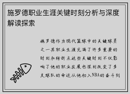 施罗德职业生涯关键时刻分析与深度解读探索