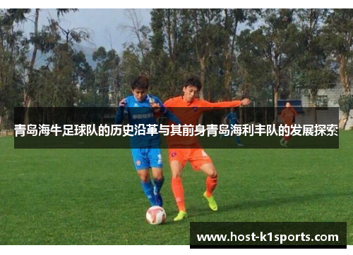 青岛海牛足球队的历史沿革与其前身青岛海利丰队的发展探索
